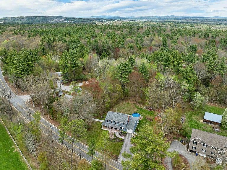 46 Albin Road photo 4