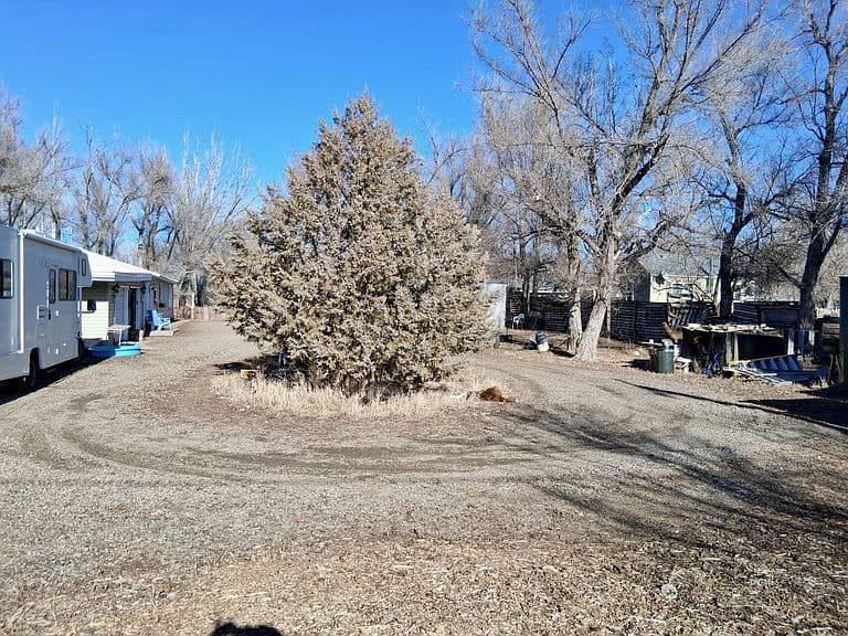 121 3rd Cottonwood Grv photo 3