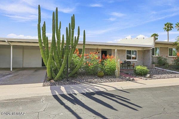 14 S Calcite Dr photo 3
