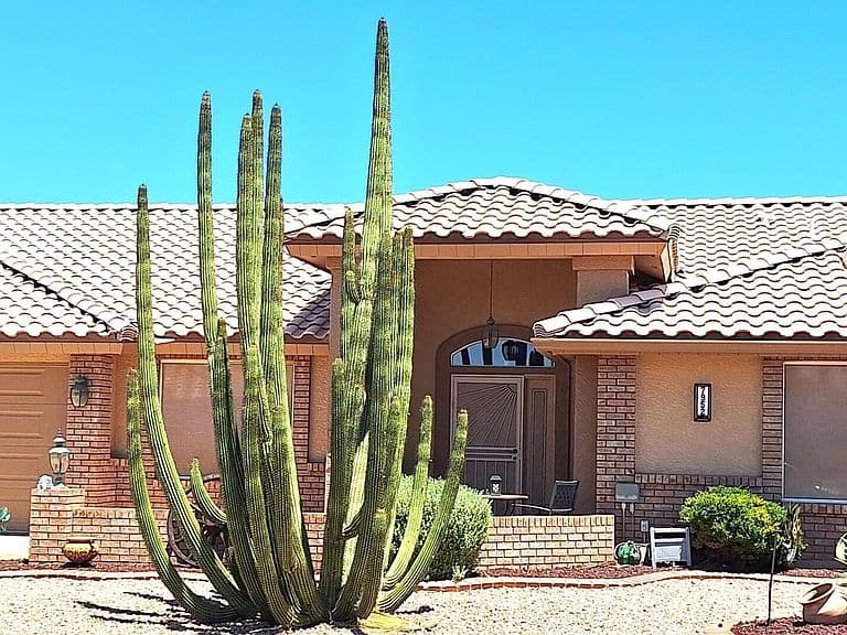 7952 E NAVARRO Avenue photo 1