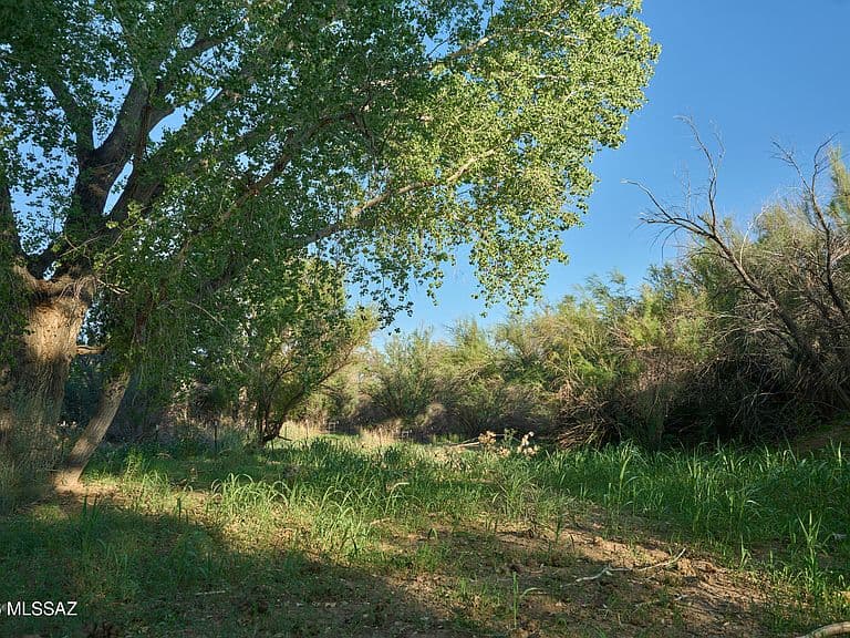 1220 E Heartleaf Ln photo 4