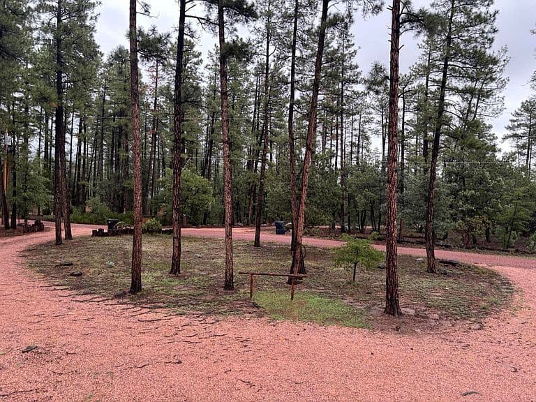 264 S Conifer Dr photo 4