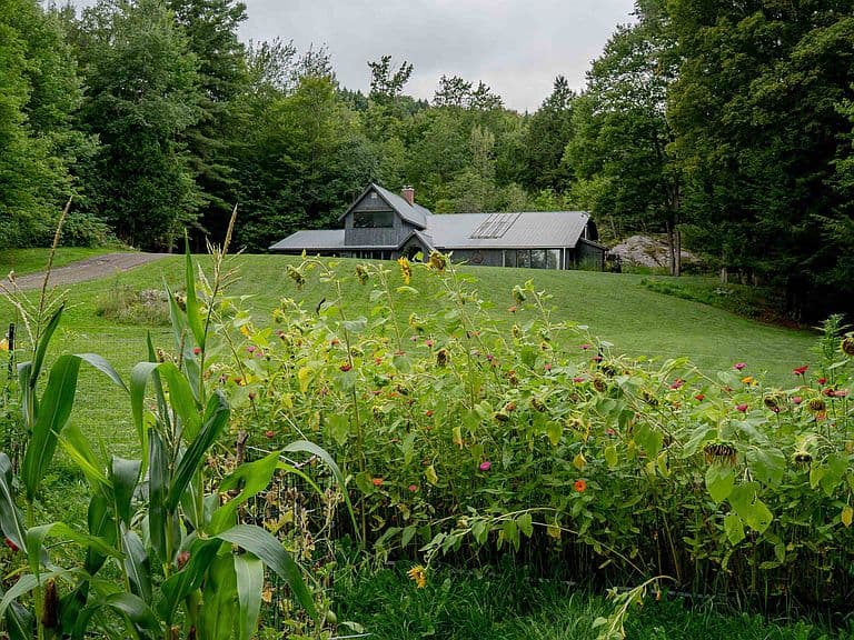 2640 Main Road photo 4