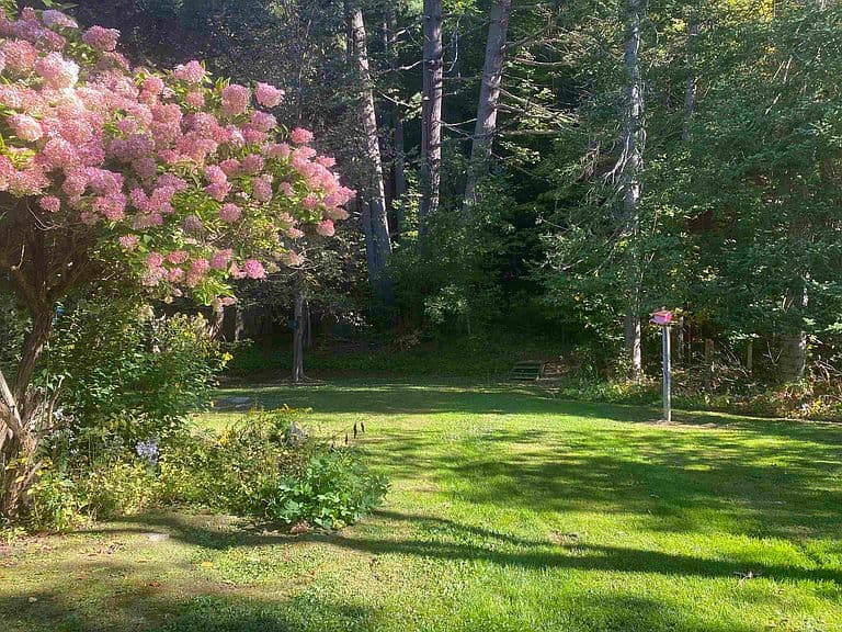 8 Golf Avenue photo 5