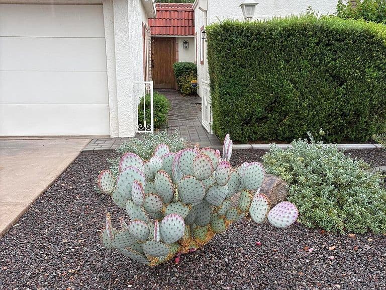 5619 E CENTURY Lane photo 1