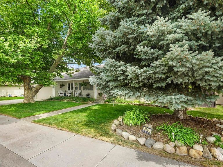 426 Bitterbrush Dr photo 3