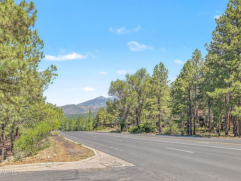 1301 N La Costa Ln photo 2