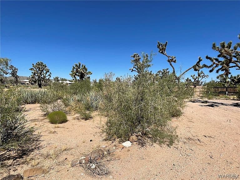 26416 N Apple Drive photo 5