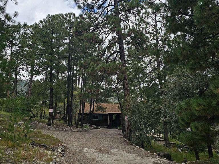 12478 N Middle Sabino Rd photo 5