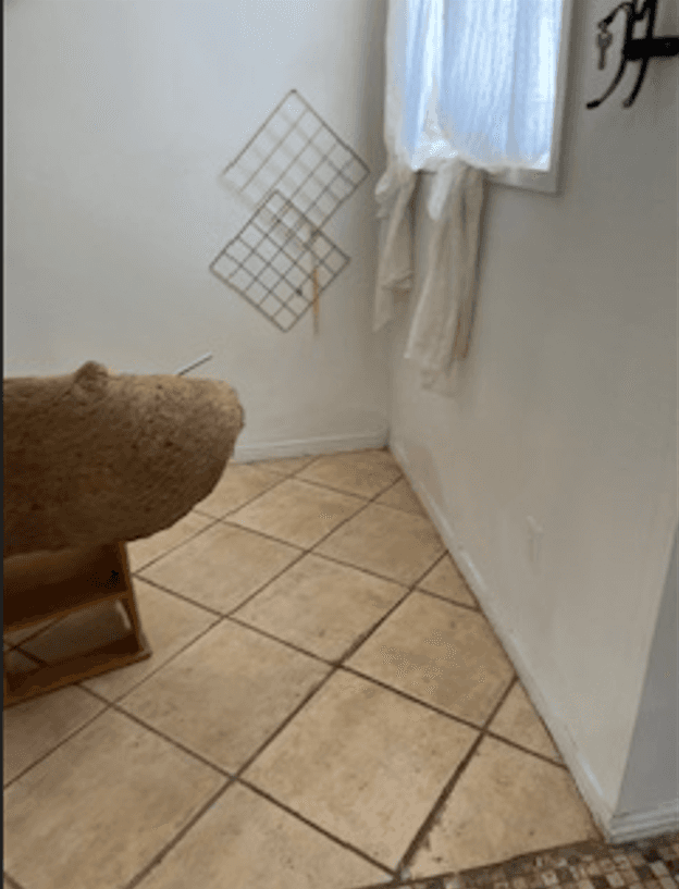 8682 W Santa Cruz Blvd photo 2