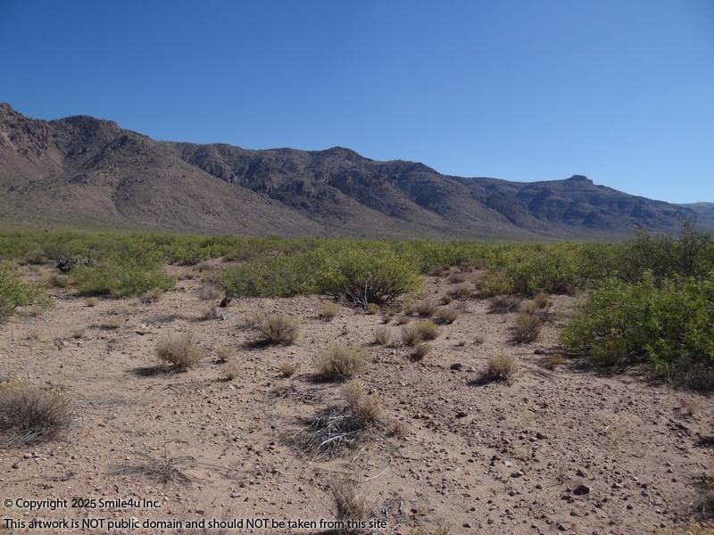 Javalina Trail photo 4