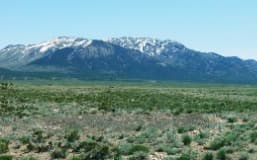 Last Chance Ranch photo 1