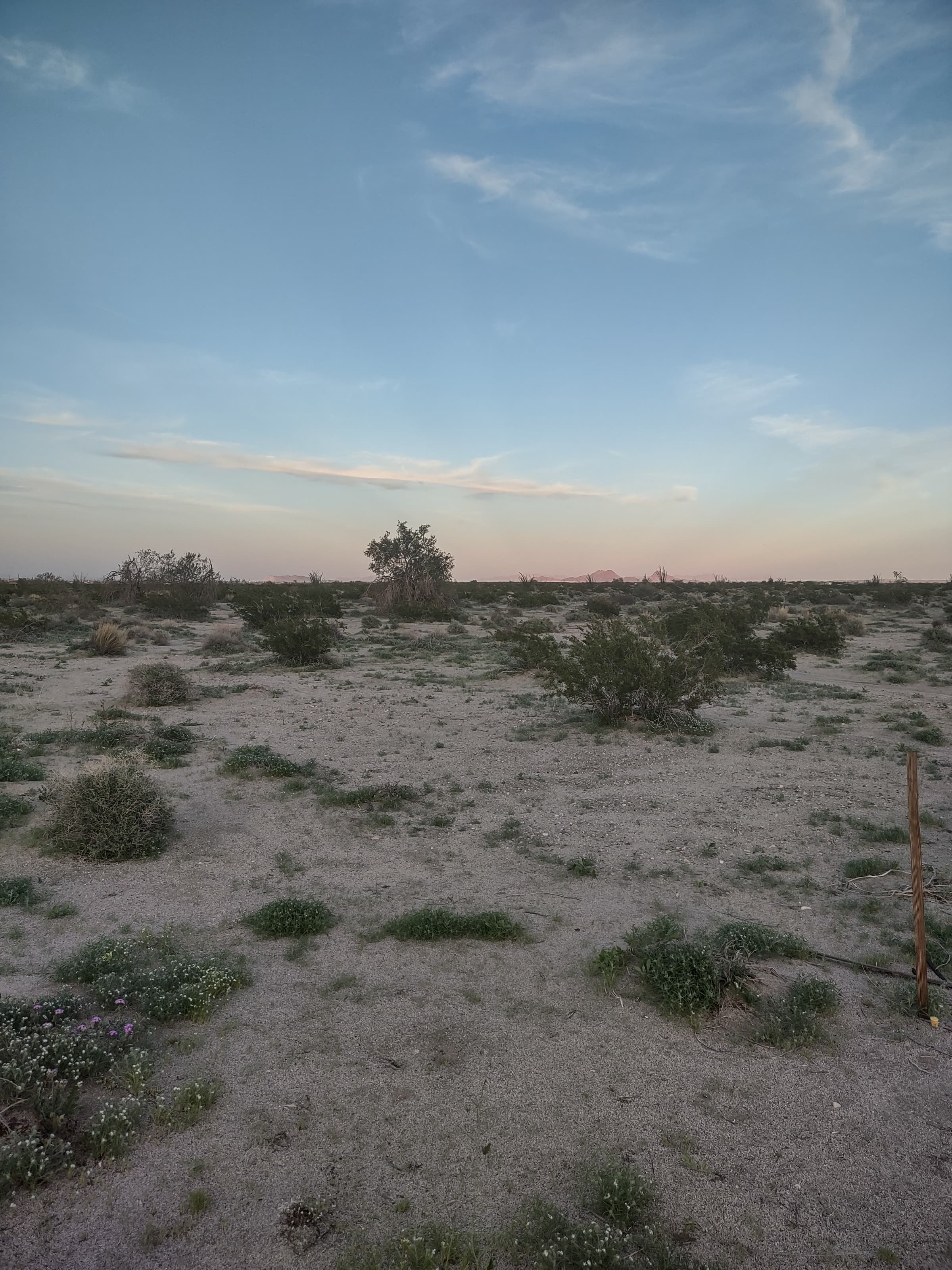 13523 South Avenue 24 East photo 2