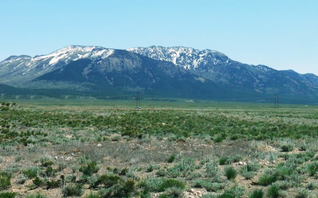 Last Chance Ranch photo 2