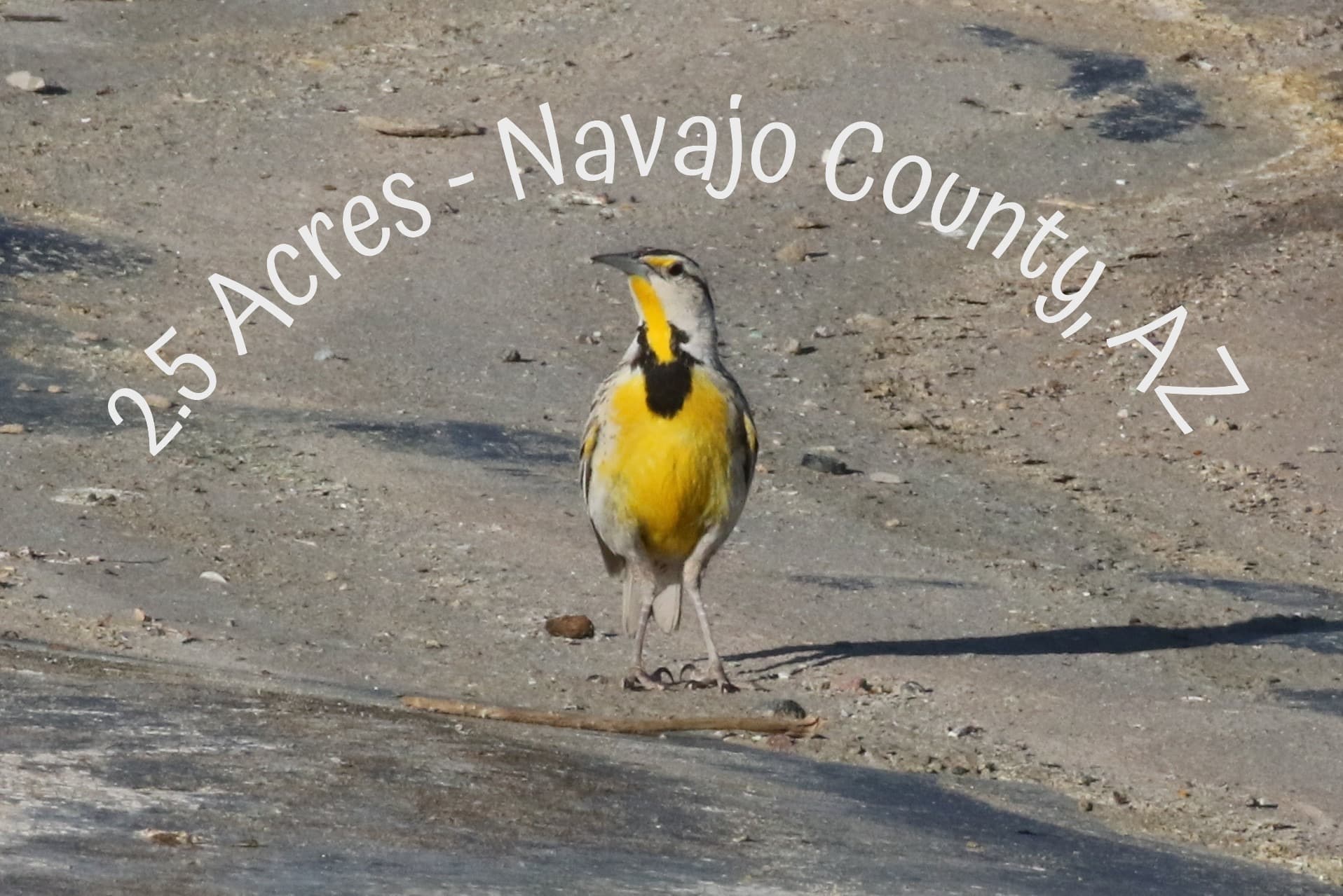 Affordable Land - 2.5 Acres photo 1