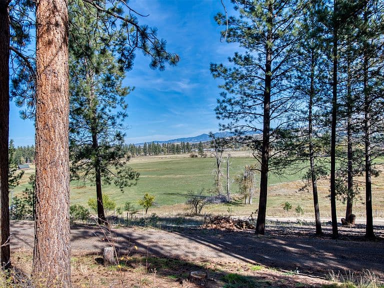 560 Camas Creek Loop photo 3