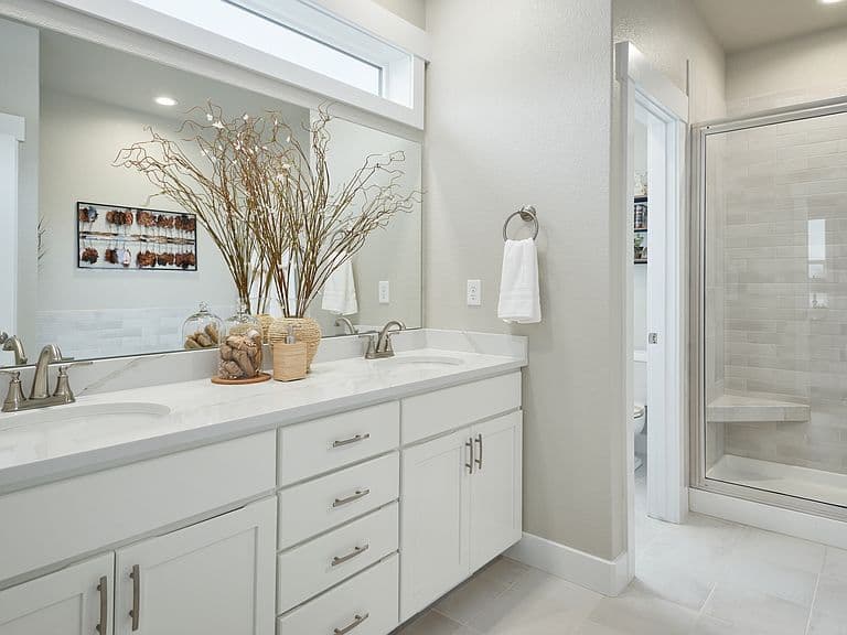 Shire Plan, Whitney Ranch photo 3