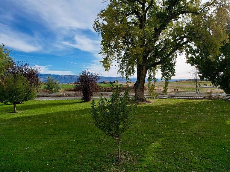 969 Hwy 14 photo 4