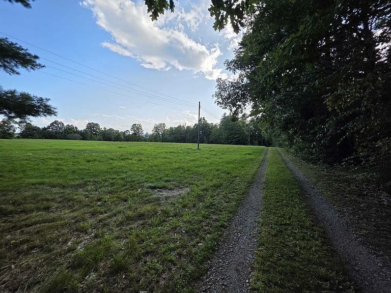 135 Little Hill Road photo 2