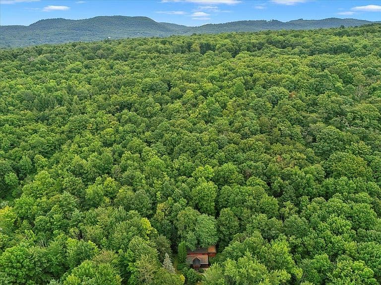 221 Red Pine Road photo 2