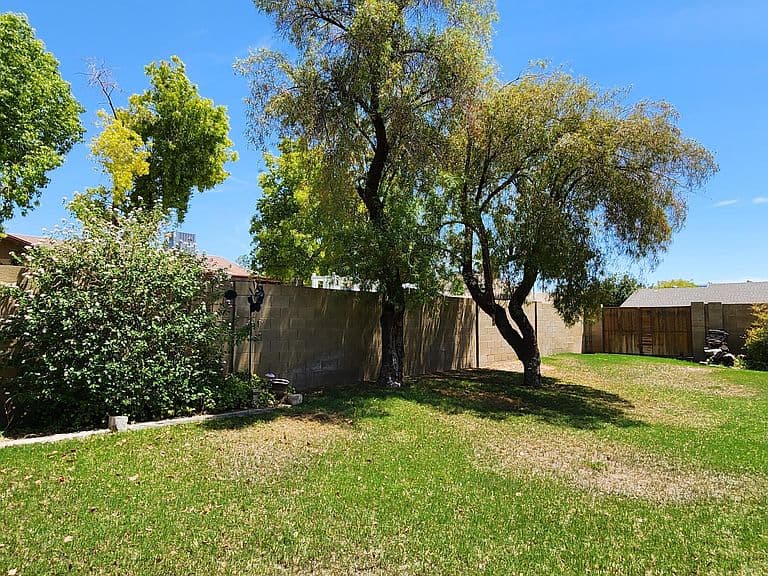 864 E PARADISE Lane photo 4