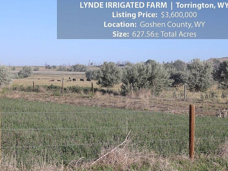 4815 Road 59 photo 4