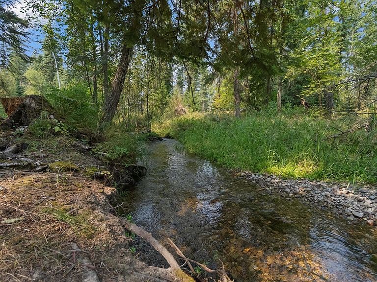 29160 Wapiti Ln photo 5