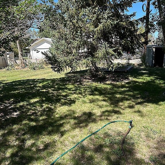 508 3rd Ave N photo 5