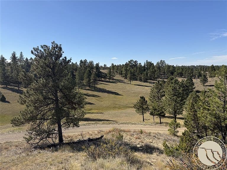 252 Rock Canyon Ln photo 3