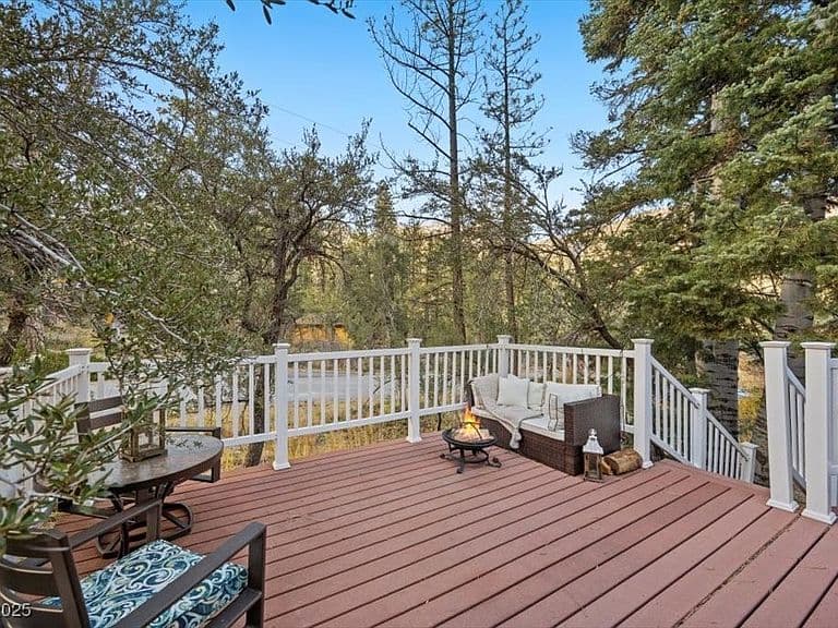 4101 Mont Blanc Way photo 5