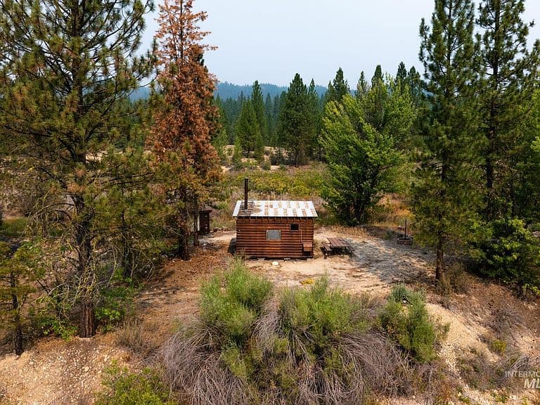 3848 Highway 21 photo 1