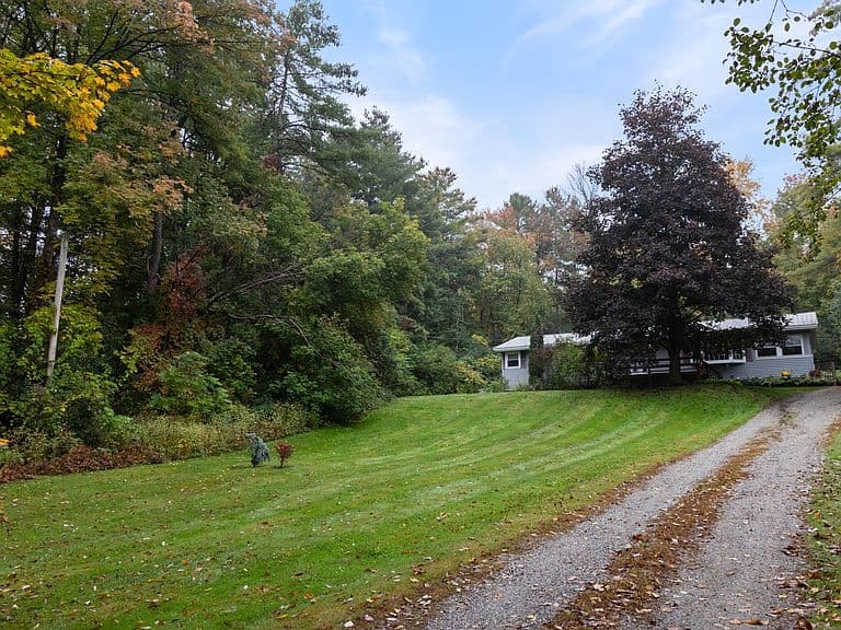 9042 Williston Road photo 2