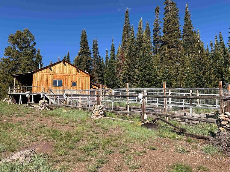 77 Brown Trout Dr photo 4