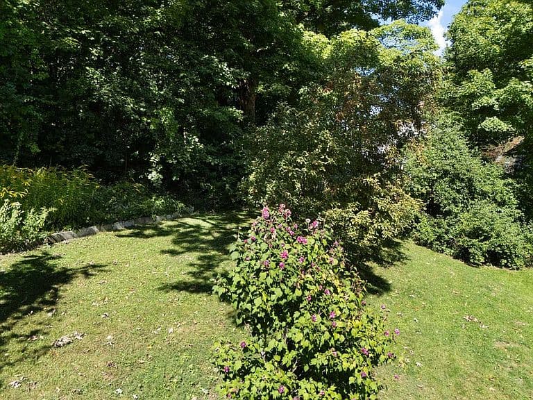 19 Blakeslee Street photo 3