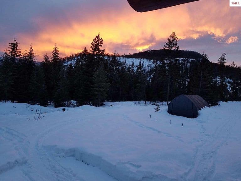 439 Usfs #2295A photo 5