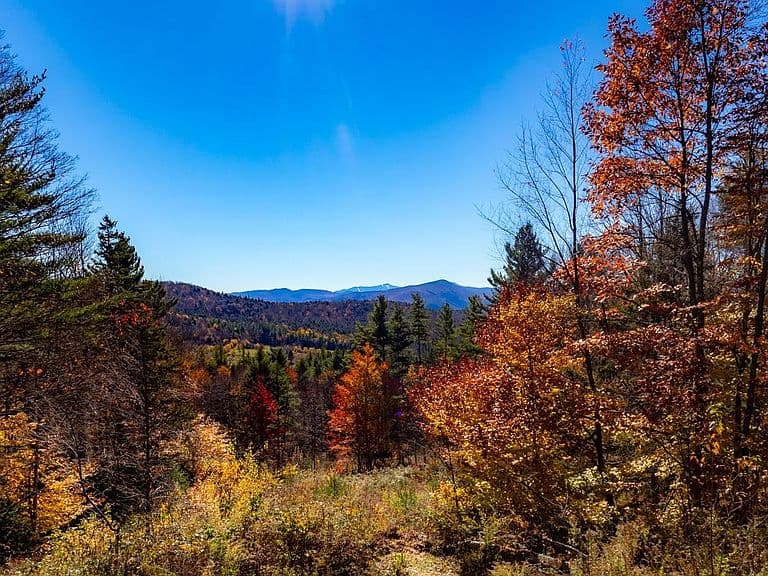 2519 Music Mountain Road photo 4