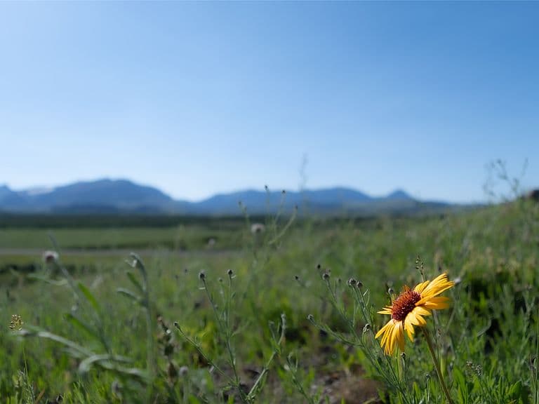 941 Us Highway 89 W photo 3