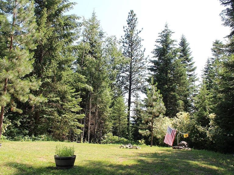 788 Gold Cup Mountain Rd photo 3