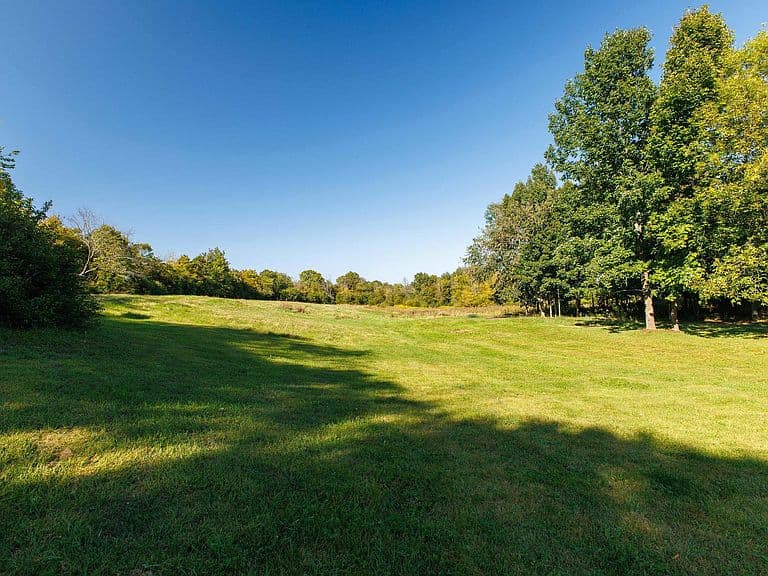 25A Faywood Road photo 5