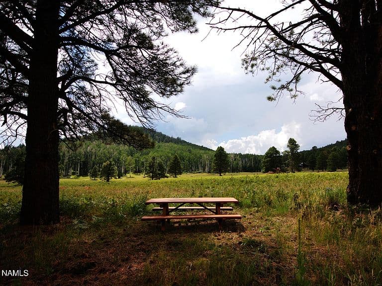 15820 Forest Service 9008s Rd photo 4