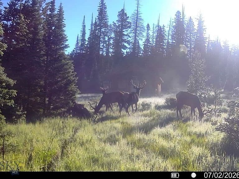 7379 Hahn Creek Rd photo 3