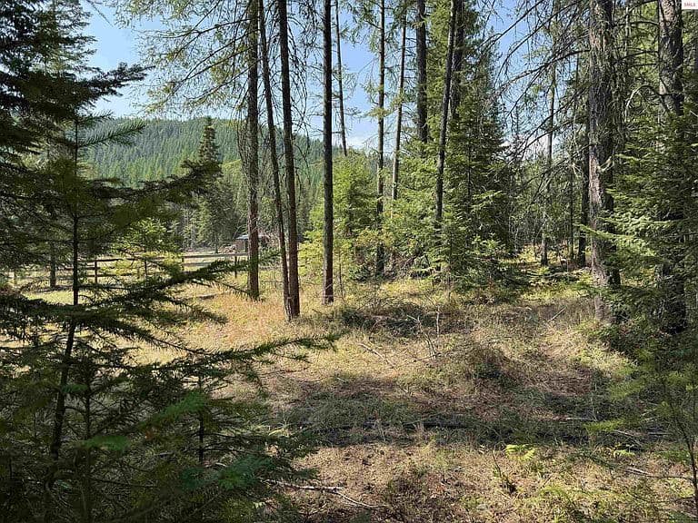 138 Solomon Lake Rd photo 4