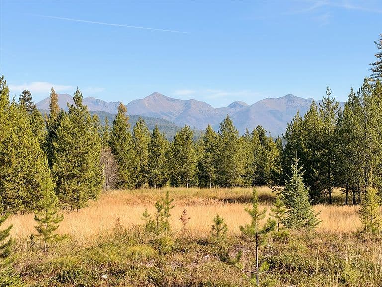 818 Beaver Creek Rd photo 3