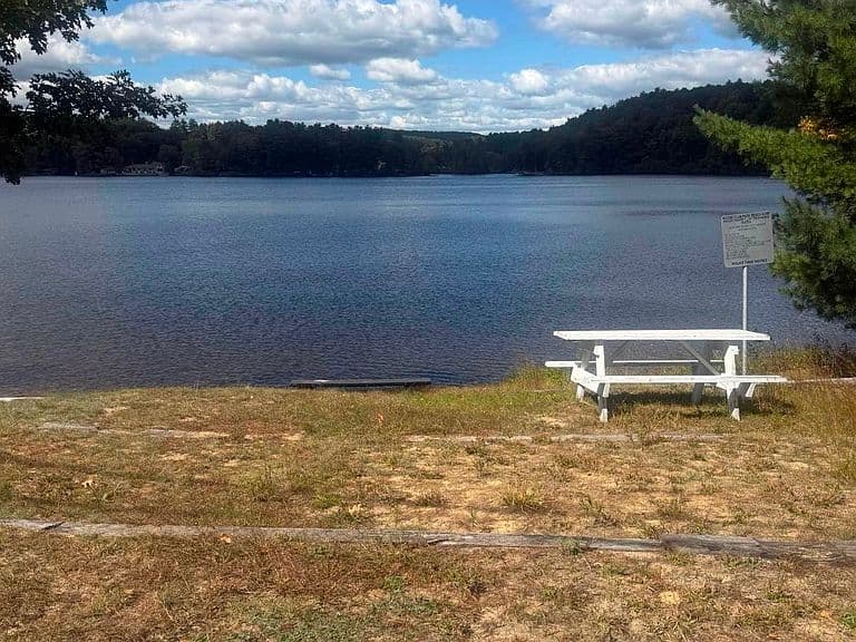 121 Moose Club Park Road photo 4