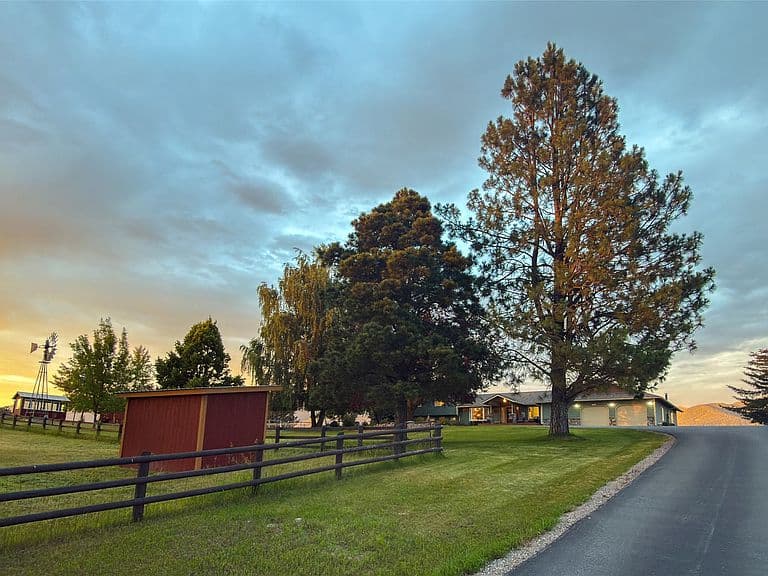 285 Swan River Rd photo 5
