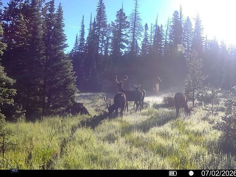 7379 Hahn Creek Rd photo 5