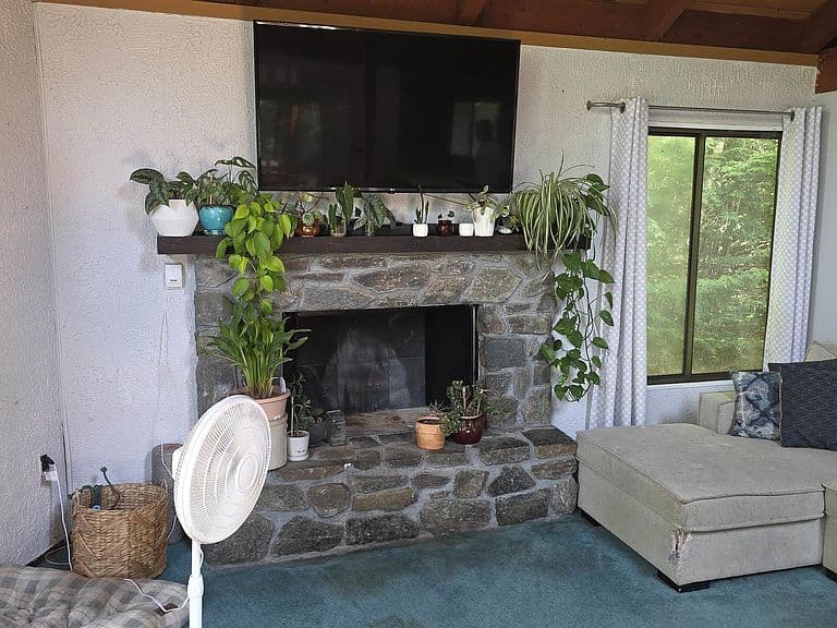 31 Clarina Nichols Lane photo 3