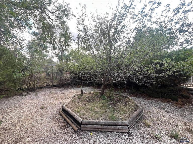 2305 Lincoln Ave photo 5