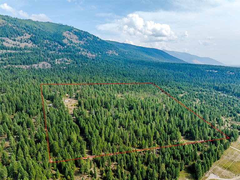 10 Red Fir Ln photo 3