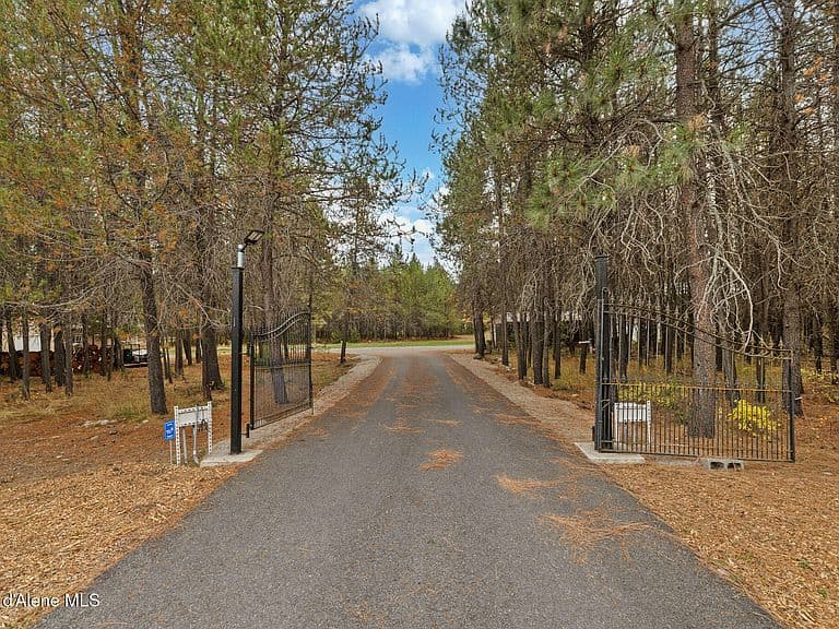 24704 N Hunters Grove Ct photo 5